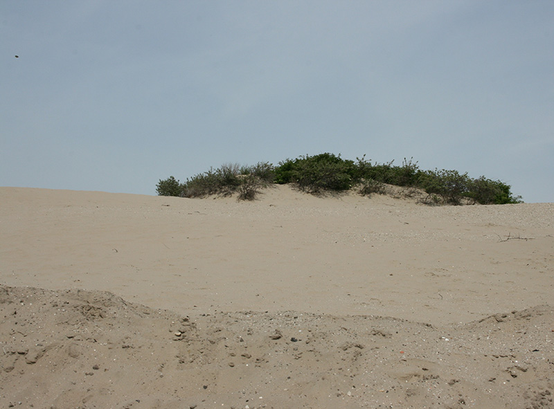 Hoek van Holland