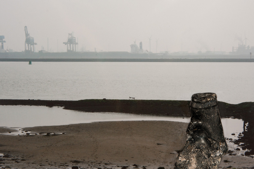 JARIG hoek van holland