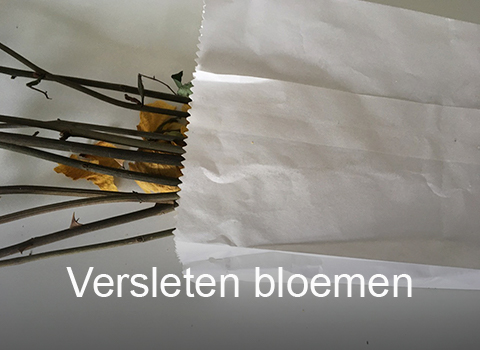 Versleten bloemen